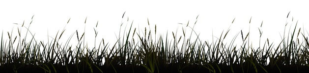 Grassland, Bildausschnitt bei Höhe 620 mm