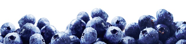 Blueberries, Bildausschnitt bei Höhe 620 mm