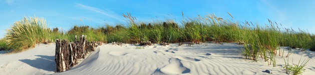Stranddünen Panorama, Bildausschnitt bei Höhe 620 mm