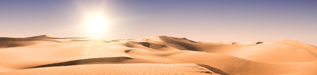 Wüste 1, Bildausschnitt bei Höhe 620 mm