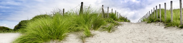 Dune Landscape, Bildausschnitt bei Höhe 620 mm