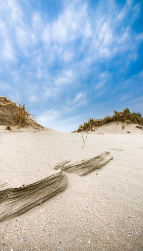 Stranddühne