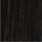 R4531 Ponderosa Pine