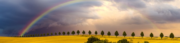 Regenbogen,Bildausschnitt bei Höhe 620 mm 