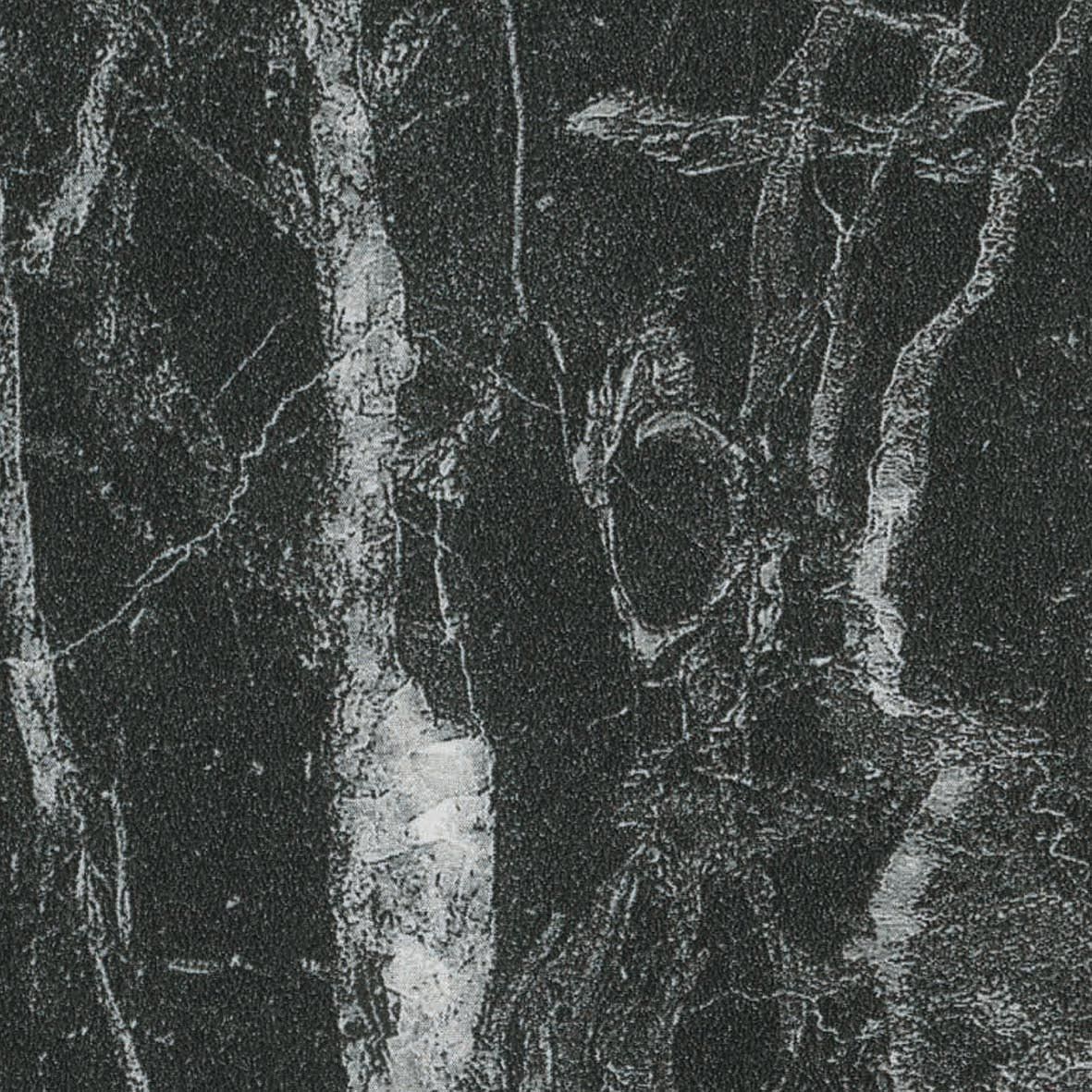 S63028 Nero Portoro Detail 100 x 100 mm